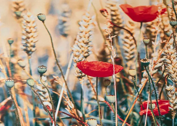 Apartment Sea Breeze Cozy Parnu